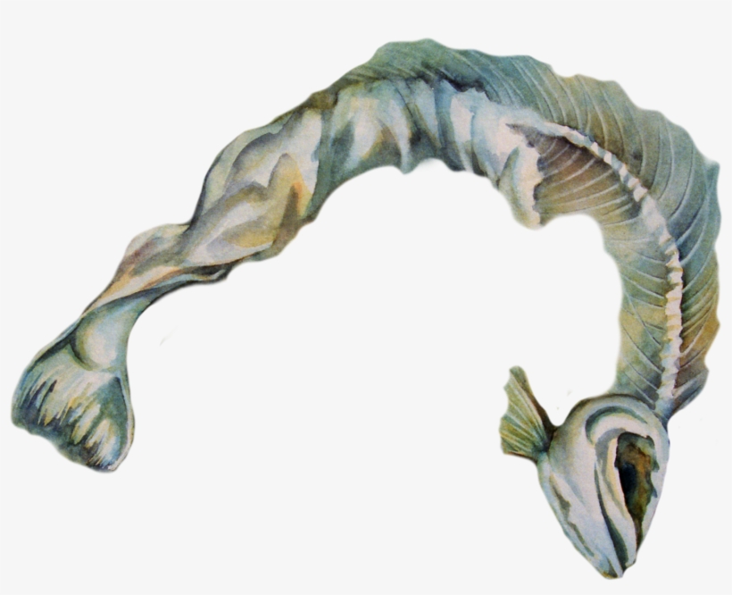 I Die And Leave My Body For Food - Electric Eel, transparent png #4923988