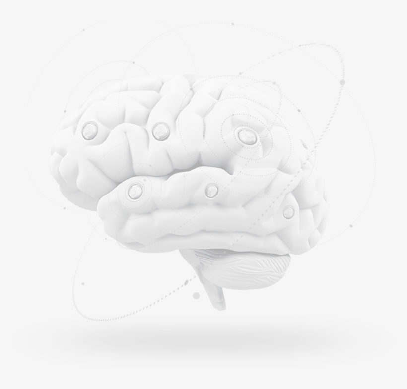 Brain - Illustration, transparent png #4926563