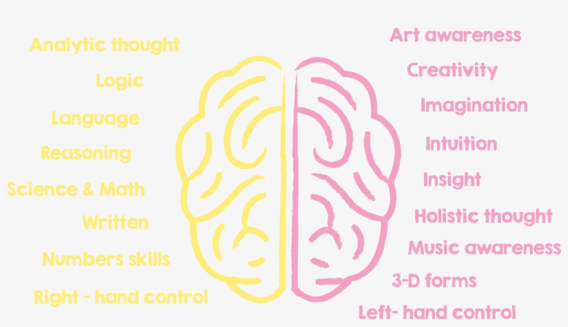 Fun, Creative Exercises And The Use Of Sound Waves, - Left And Right Brain Importance, transparent png #4926628