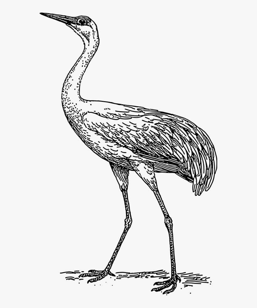 How To Set Use Crane Clipart, transparent png #4926736