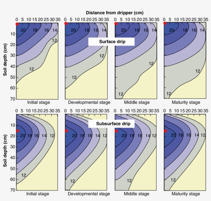 Spatial Distribution Of Water In Soil For Surface And - Drip Irrigation Distribution, transparent png #4929094