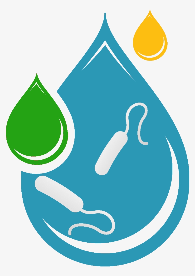 'independently Assessing & Monitoring Bacteria In Property - Water, transparent png #4930062