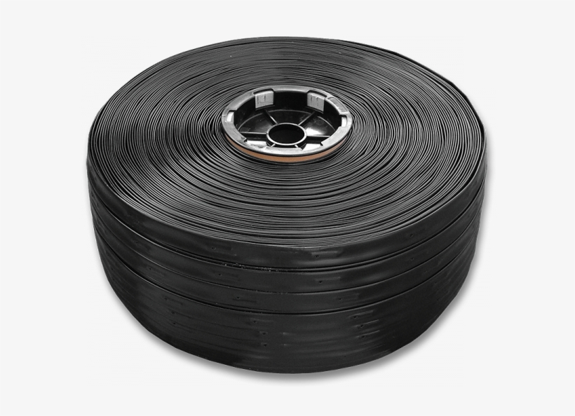 Circle, transparent png #4930599