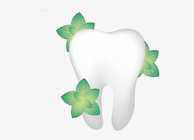 Single Teeth Png Image Transparent - Tooth, transparent png #4932261