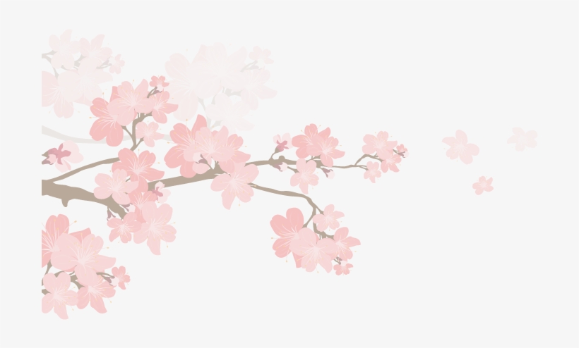 Curriculum Details - ซากุระ Png, transparent png #4933058