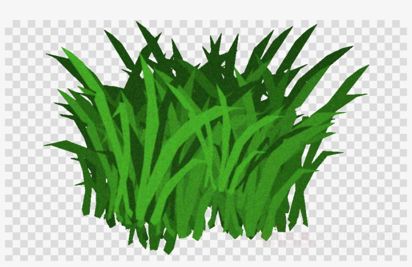 Transparent Seaweed Clipart Seaweed Kelp Clip Art - Kelp Clipart, transparent png #4935038