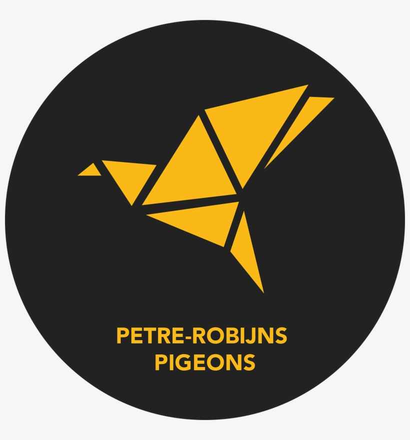 Petré Robijns Pigeons Https - Photograph, transparent png #4936229