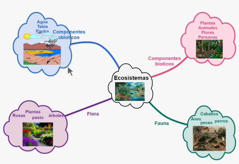 Australian Animals, transparent png #4937411