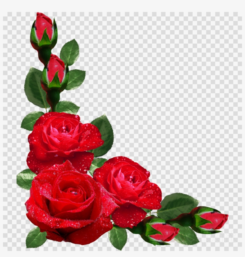 Rose Corner Border Png Clipart Rose Clip Art - Happy Anniversary With Photo Edit, transparent png #4938445