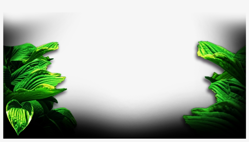 Tarzan-background3 - Illustration, transparent png #4938866