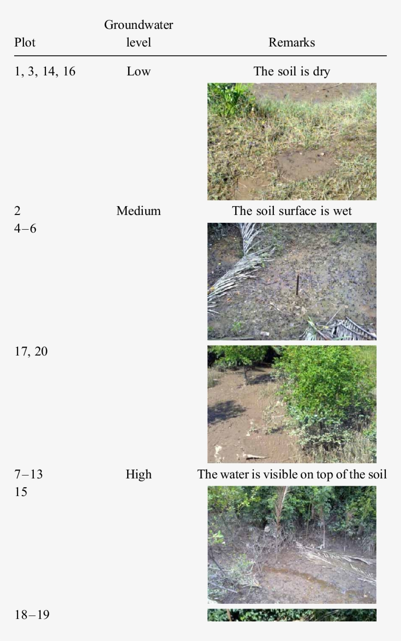 Groundwater Condition For Moist Soil - Soil, transparent png #4940234