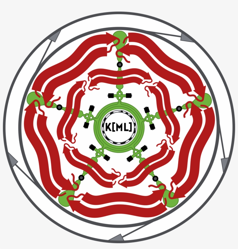 Lancasterlab - Twitter, transparent png #4940663