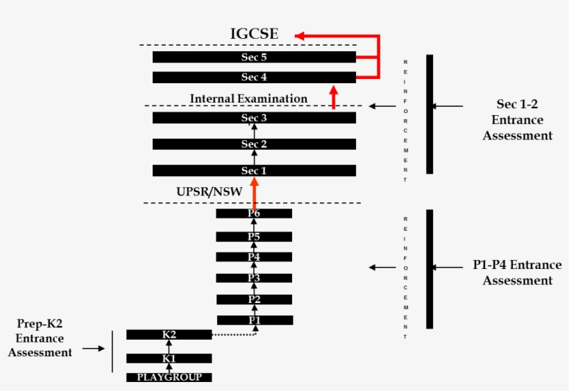 Edu Roadmap - Education, transparent png #4941839