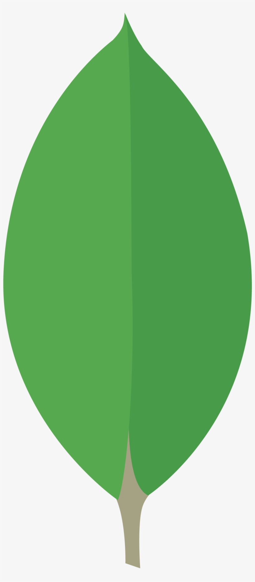 Mongodb Icon - Mongodb Svg, transparent png #4942154