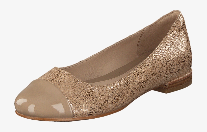 Festival Gold Champagne Combi - Dorothy Perkins, transparent png #4942231