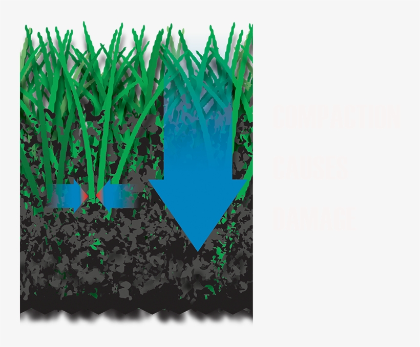 The Spring Tine Rake Works In The Upper Two-thirds - Grass, transparent png #4942751