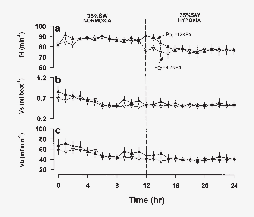 Changes In Mean A) Heart Rate (beats/ Min) B) Calculated - Glucose, transparent png #4943970