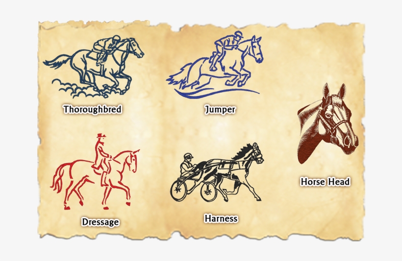 Graphics - Dressage Outline Embroidery Design, transparent png #4944619