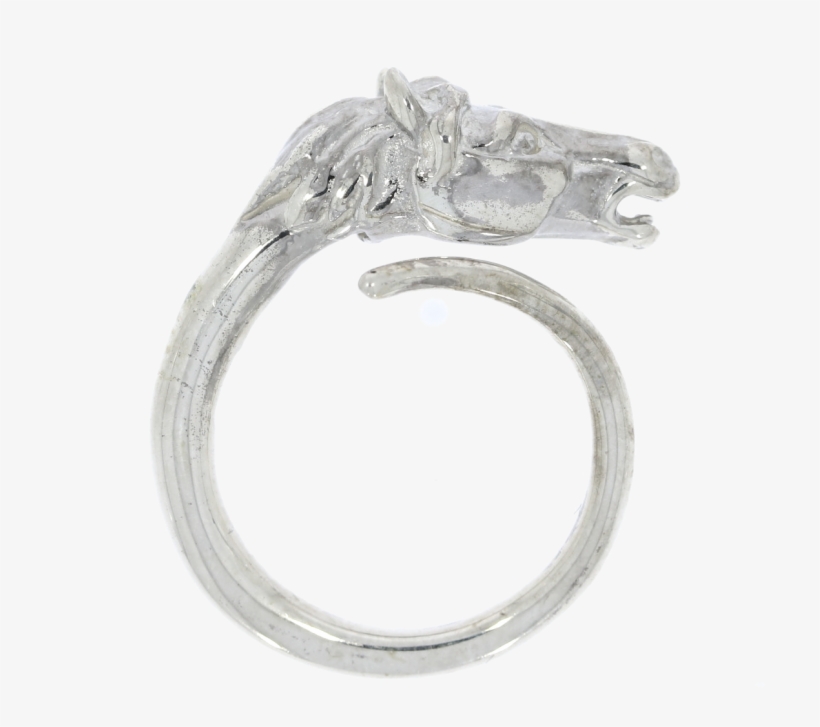 Silver, transparent png #4944674