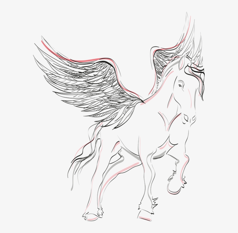 Pegasus, Horse, Wing, Winged Horse, Mystical, Black - Desenho De Cavalo Alado, transparent png #4944787
