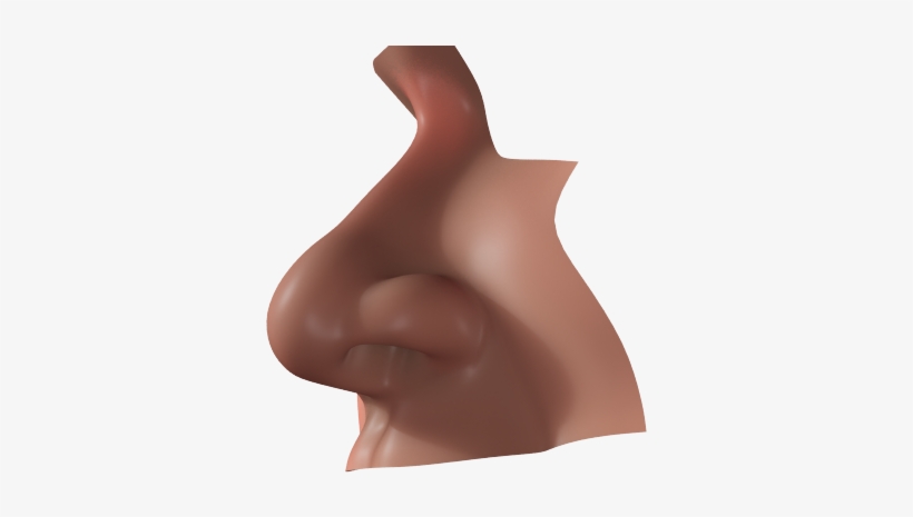 Nose Realistic Nose Human Nose 3d Model Max Obj Mtl - Sculpture, transparent png #4945054