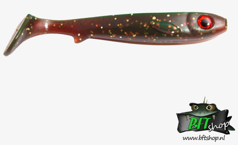 Flatnose Shad, transparent png #4945558
