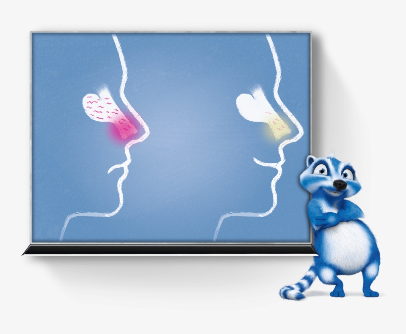 Maintaining The Health Of The Nose Should Therefore - Ursapharm Arzneimittel Gmbh, transparent png #4945617