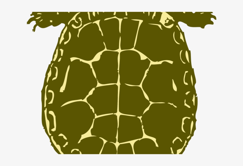 Sea Turtle Clipart Kura Kura - Green Turtle Shower Curtain, transparent png #4946210
