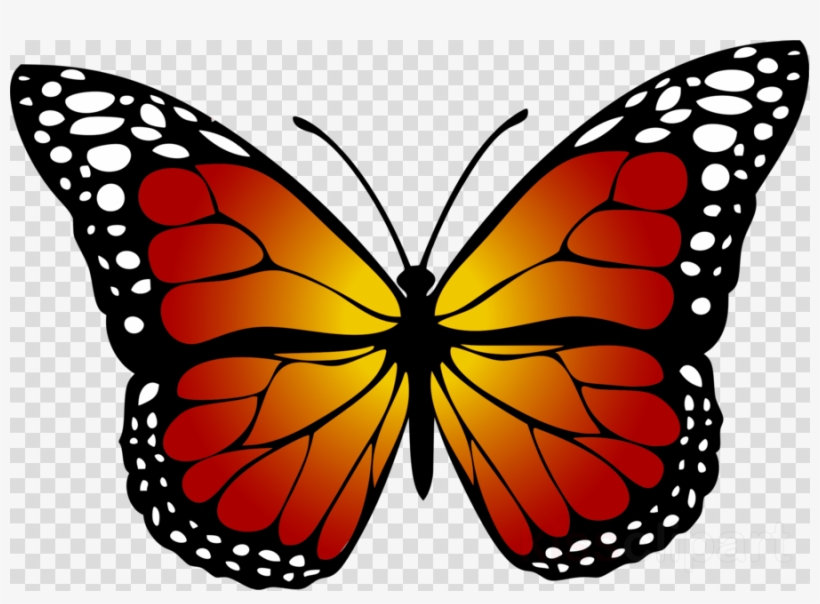 Yellow Butterfly Clipart Butterfly Insect Clip Art - Kupu Kupu Hitam Putih, transparent png #4946277