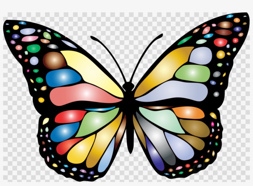 Clip Art Monarch Butterfly Clipart Monarch Butterfly - Different Colors Of Butterfly, transparent png #4946338