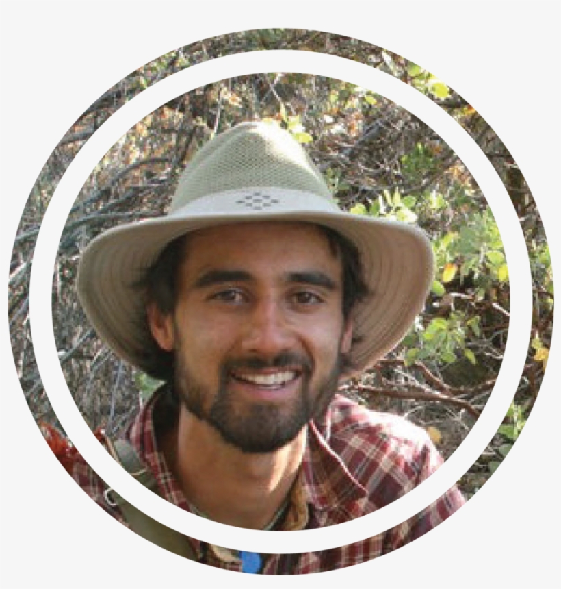 Wblt Profile Pics Round Daniel 01 - Portable Network Graphics, transparent png #4947245