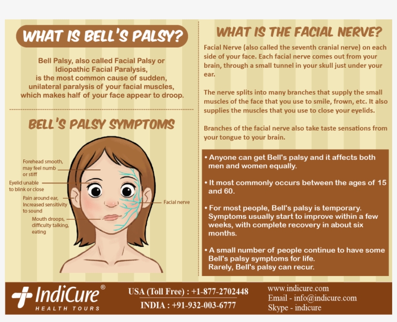 Both Men And Women Equally - You Can’t Do, transparent png #4947310