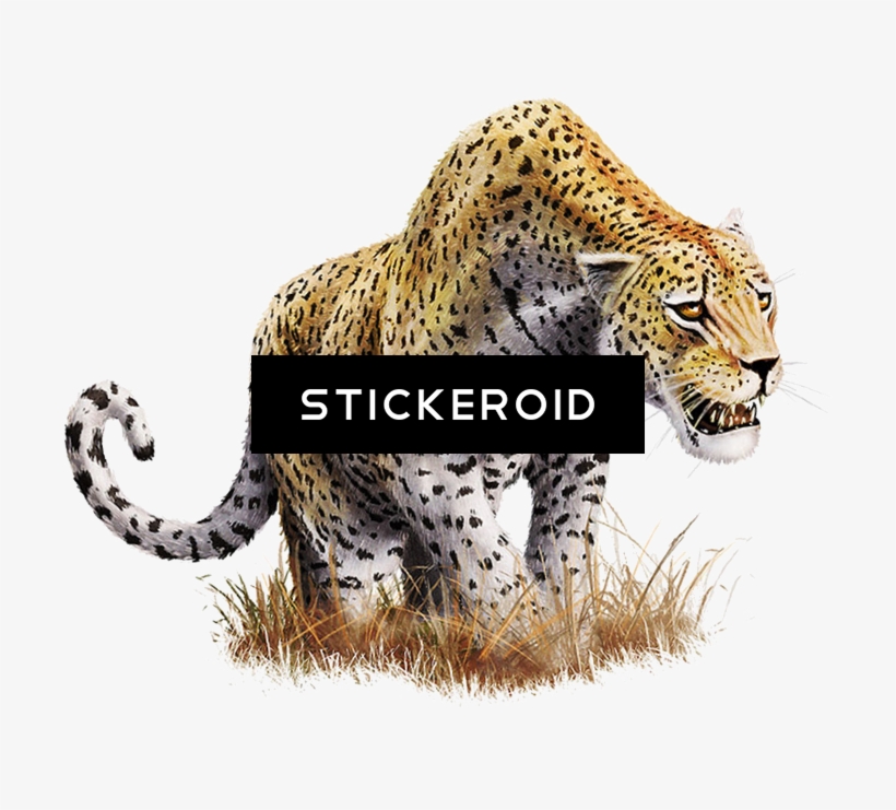 Leopard Png تحميل مجاني فهد - African Leopard, transparent png #4949976