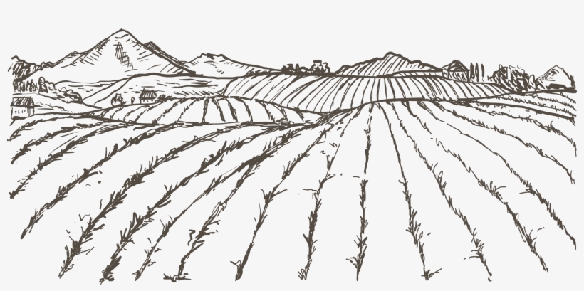 Kisspng Agriculture Farmer Drawing Sketch Field 5a83b1edcaa502 - Drawing Of Agriculture, transparent png #4950716