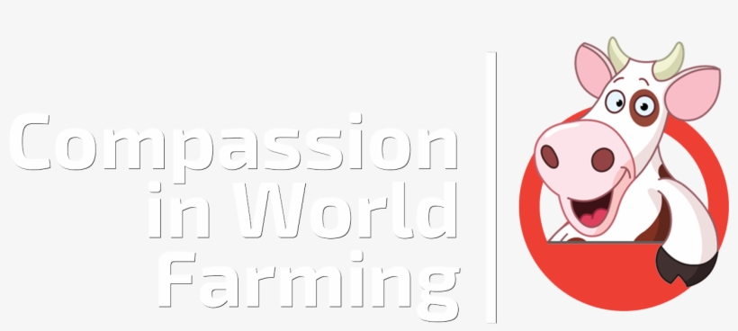 Sight Words Nouns 1, transparent png #4950887