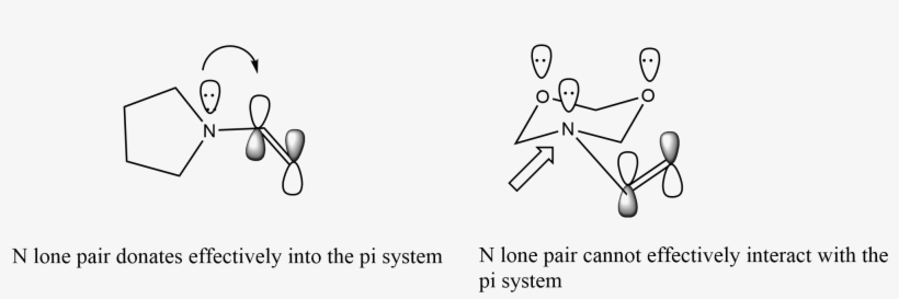 Modulating Enamine Nucleophilicity Via Stereoelectronicand - Diagram, transparent png #4951653