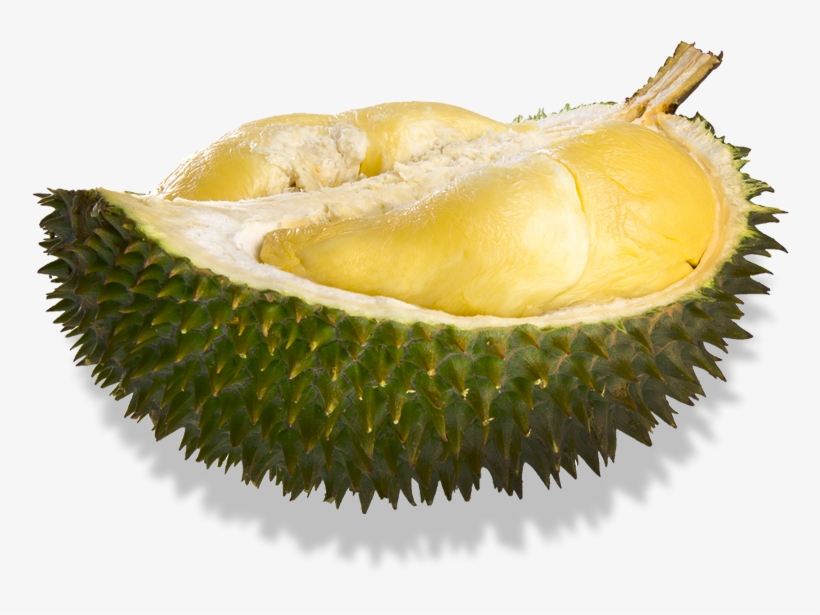 Durian Musang King Png, transparent png #4954316