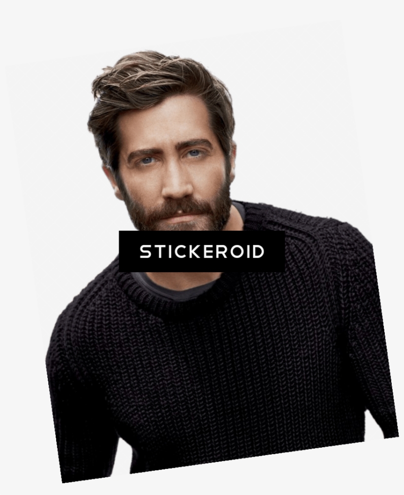 Jake Gyllenhaal Beard - Gentleman, transparent png #4954317