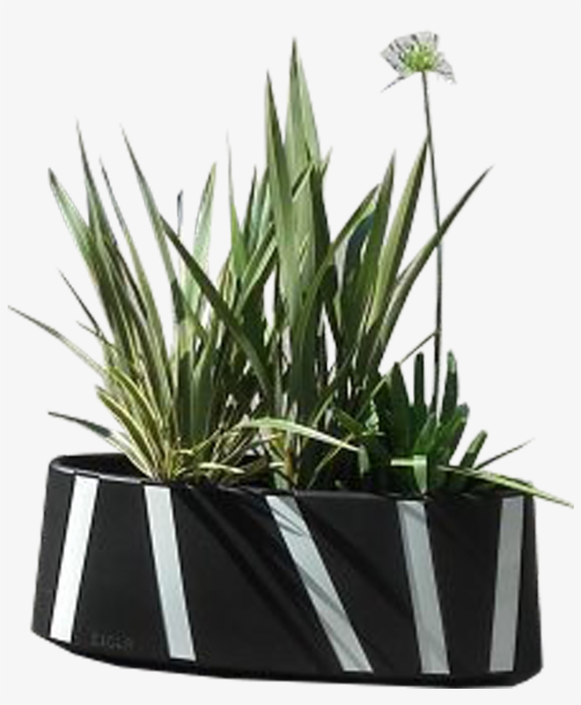 Tmp Zipper Planter Cycle Lane Separator - Bicycle, transparent png #4954694