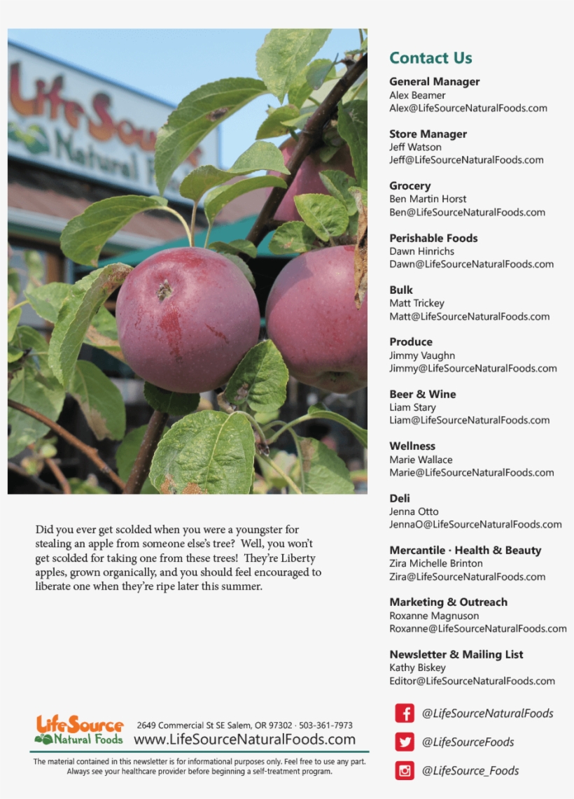 View As Magazine - Apple, transparent png #4955878