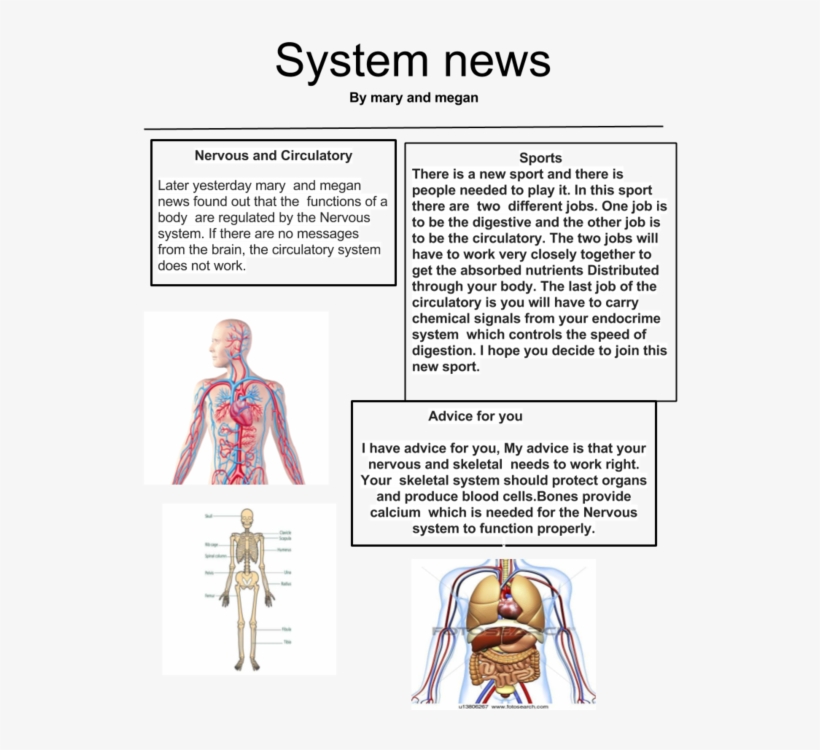 Science - Simplebooklet - Com - - Sport News, transparent png #4956760