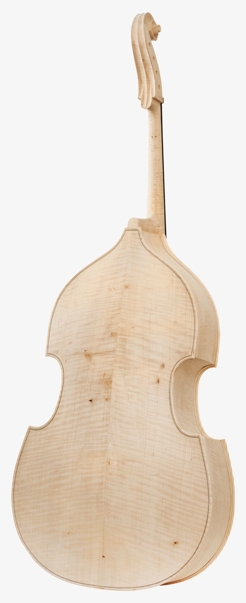 Viola, transparent png #4957123