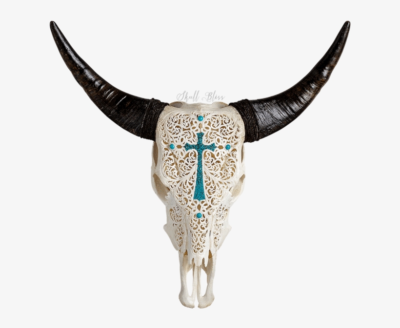 Carved Cow Skull // Xl Horns - Cattle, transparent png #4957130