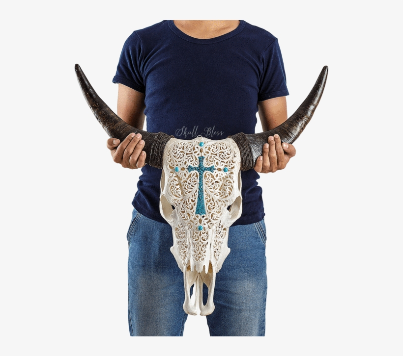 Carved Cow Skull // Xl Horns - Skull, transparent png #4957229