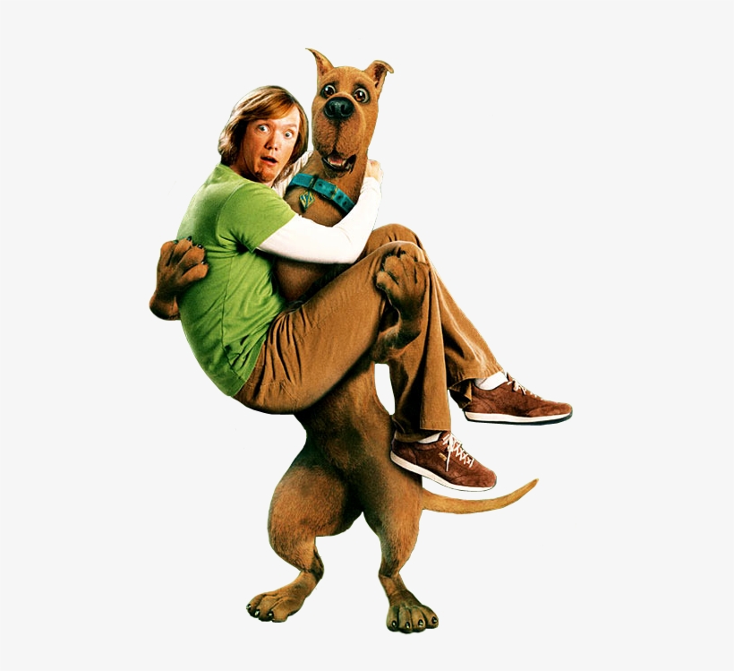 Scooby Doo Filme Png - Scooby And Shaggy Real, transparent png #4959401