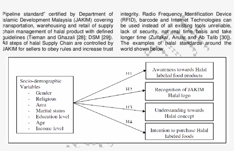 Conceptual Framework Of Non-muslim Consumers Awareness, - Conceptual Framework For Level Of Awareness, transparent png #4960278