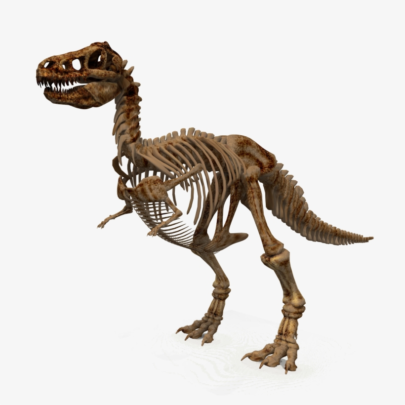 1900 X 1808 - Children's Encyclopedia [book], transparent png #4961672