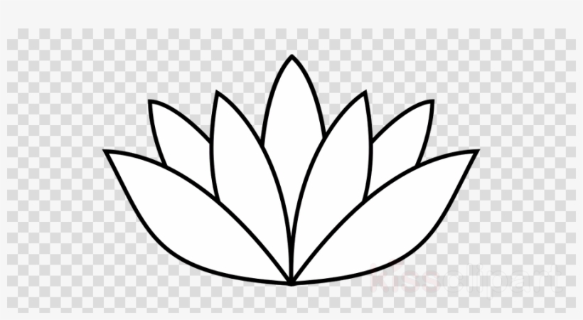 White Lotus Flower Drawing Clipart Drawing Clip Art - Lotus Flower Drawing, transparent png #4962675