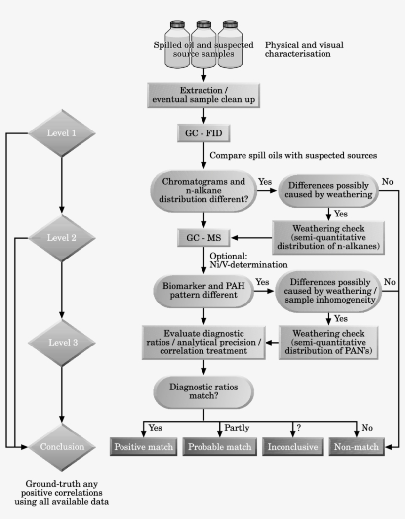 Protocol/decision Chart For The Oil Spill Identi®cation - Science, transparent png #4965022