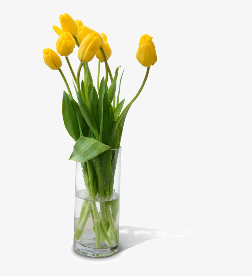 Flower Vase Png Free Download - Flower Pot Design Png, transparent png #4966143